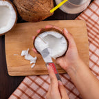 Coconut Scraper with Steel Blades