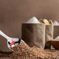 Stainless Steel Flour Scoop - Extra Large