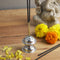 Stainless Steel Agarbatti Stand – 4.2 × 4.2 cm