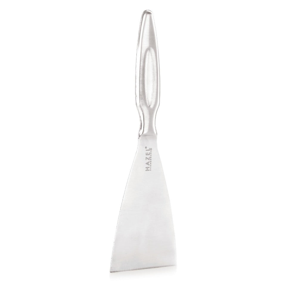 Stainless Steel Pizza Cutter & Lifter