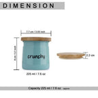 Airtight Containers for Snacks -   225 ML (Teal)