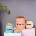 Airtight Snack Storage Jars Combo, 650 ml 225 ml - Set of 2