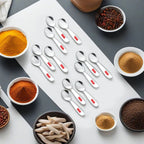Stainless Steel Spoon for Spice Box -Set of 12