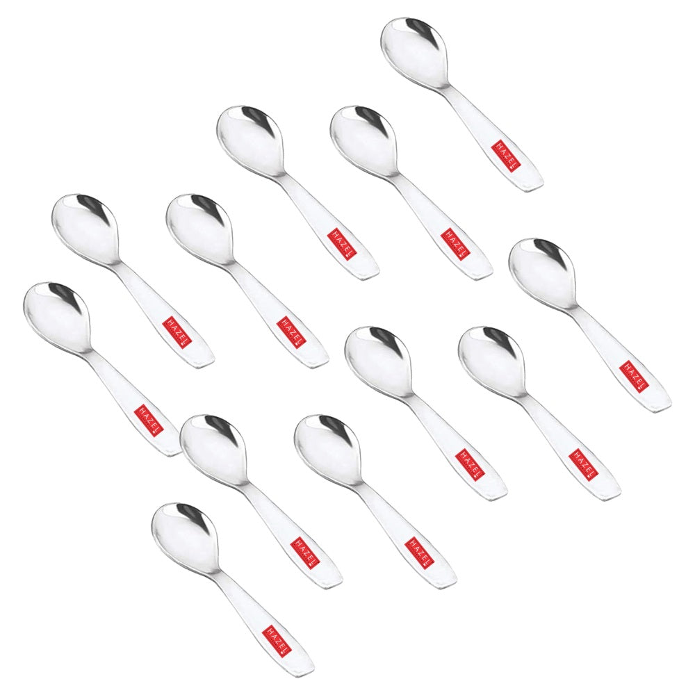 Stainless Steel Spoon for Spice Box -Set of 12