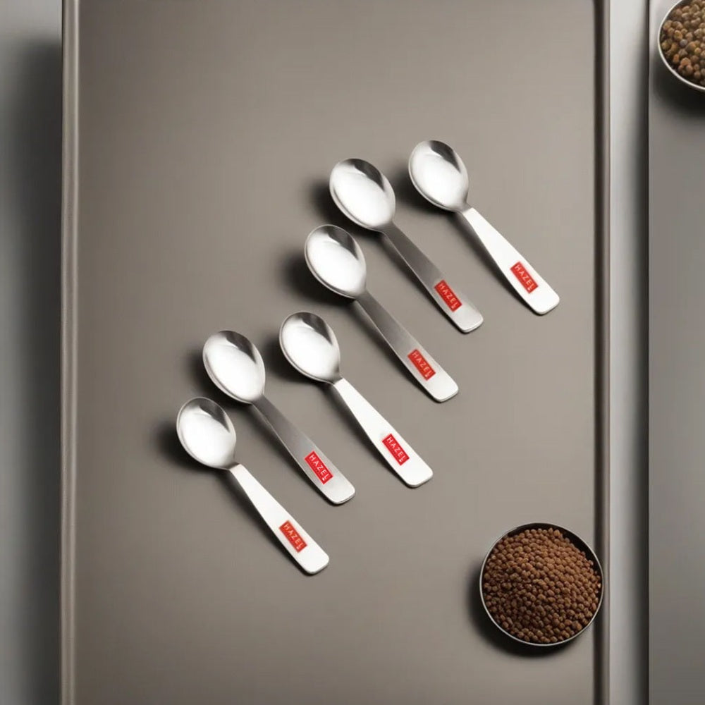 Stainless Steel Spoon for Spice Box -Set of 6