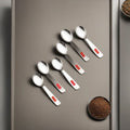Stainless Steel Spoon for Spice Box -Set of 6