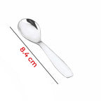 Stainless Steel Spoon for Spice Box -Set of 6