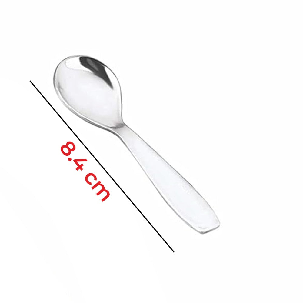 Stainless Steel Spoon for Spice Box -Set of 6