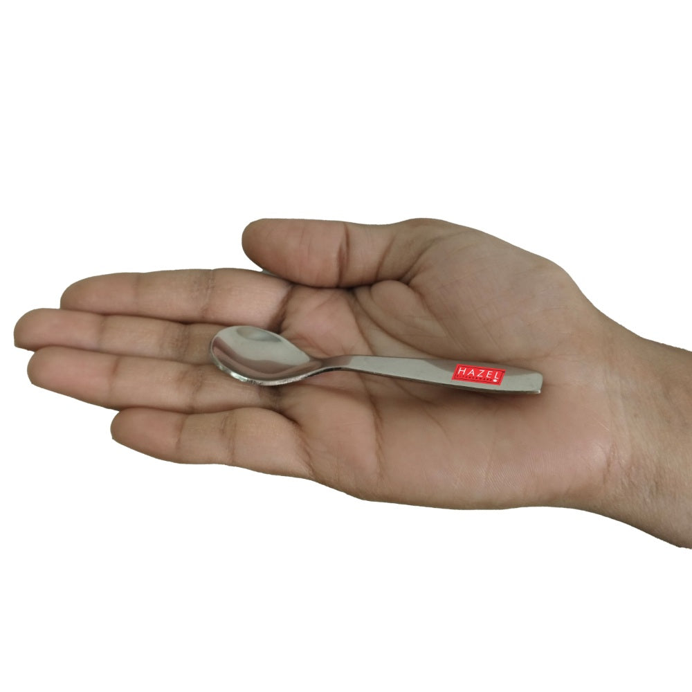 Stainless Steel Spoon for Spice Box -Set of 6