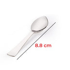 Stainless Steel Masala Spoon