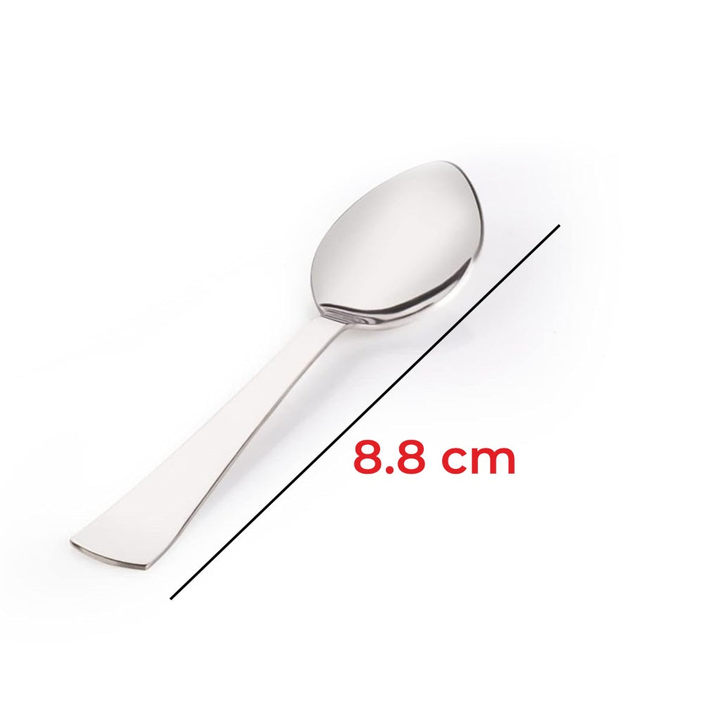 Stainless Steel Masala Spoon