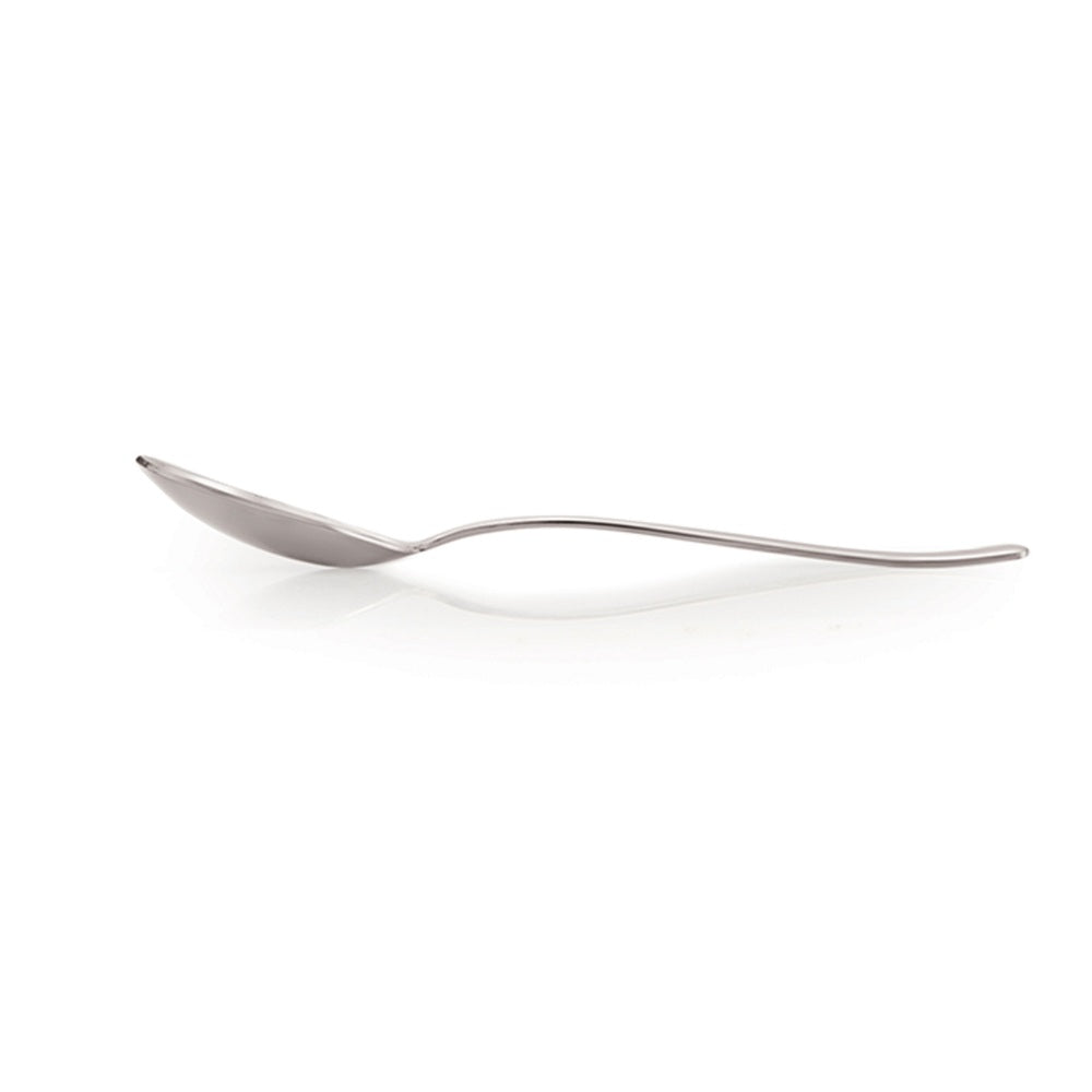 Stainless Steel Masala Jar Spoon 13.5 cm (Set of 12)