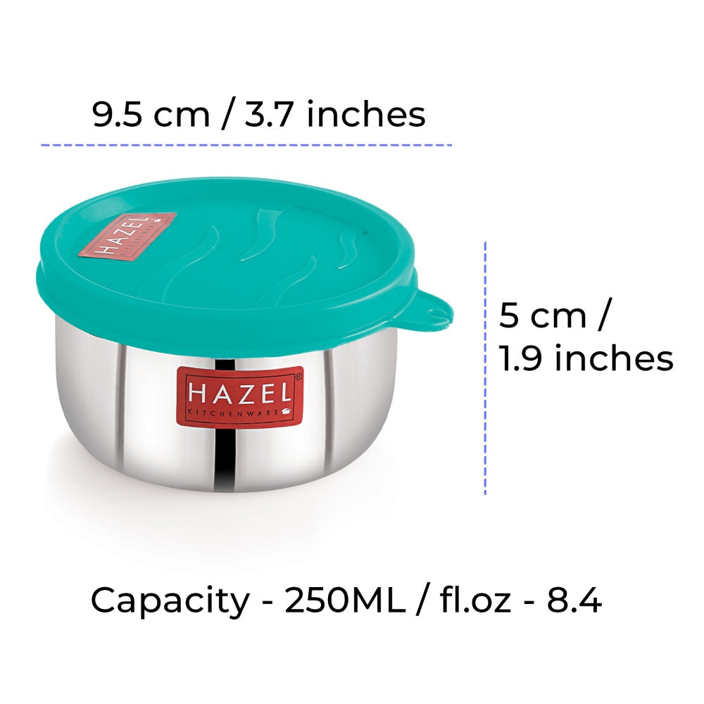 Leak Proof Kitchen Storage Containers – 250 ML (Set of 2)