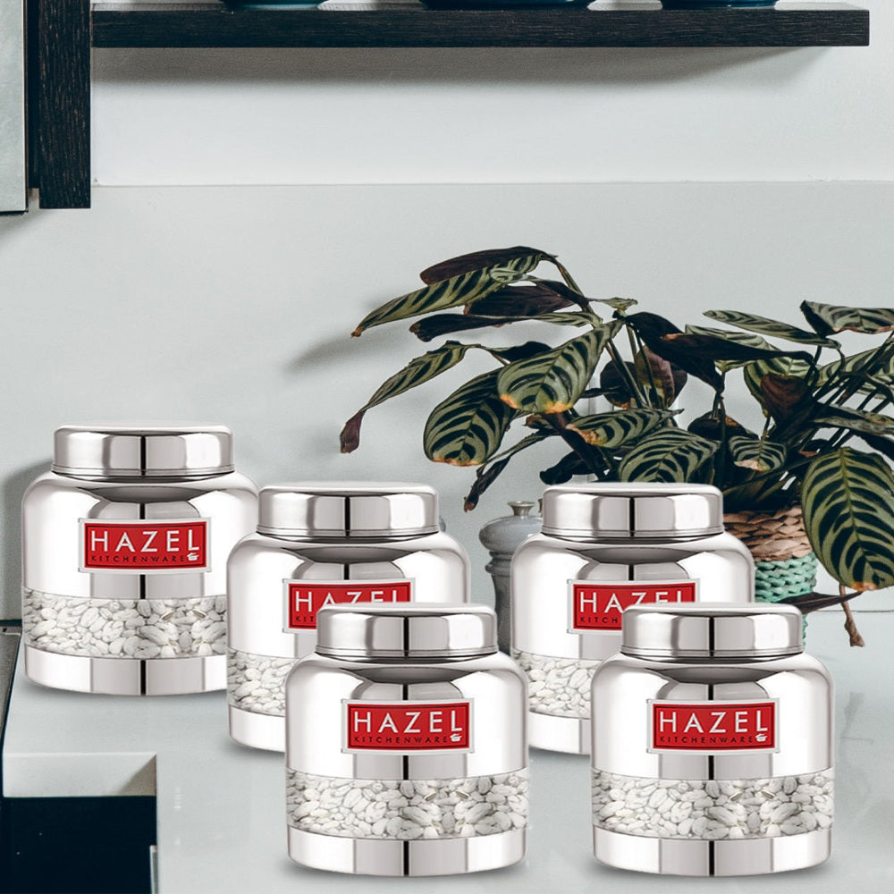 Stainless Steel Transparent Airtight Containers, Leakproof Storage