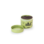 Spice/Masala Container with Spoon – Light Green
