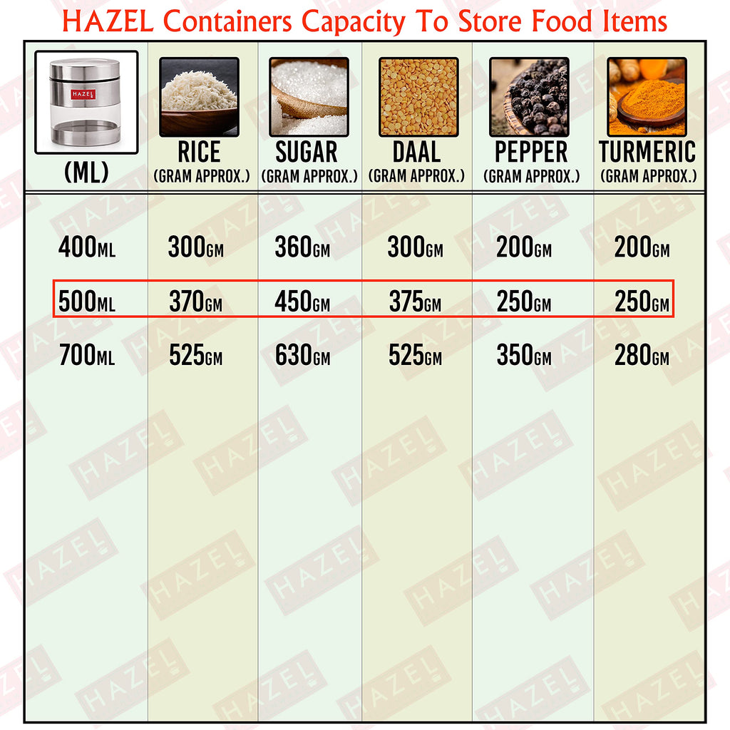 Stainless Steel Transparent Container Set of 2, 500ML Each