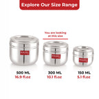 Stainless Steel Transparent Lid Containers 300 ml