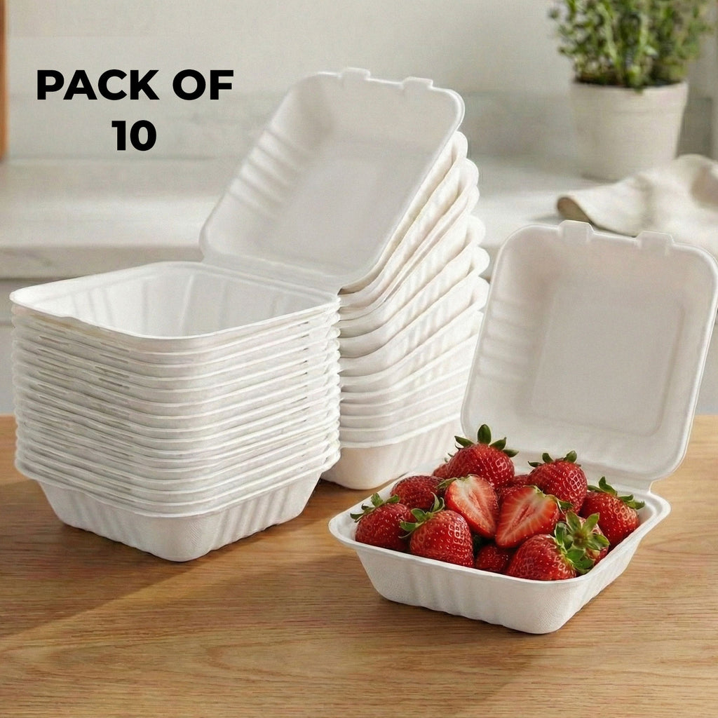 Disposable Bento Cake Box, Pack of 10