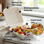 Disposable Bento Cake Box, Pack of 10