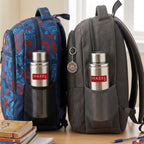 Stainless Steel Leak-Proof Water Bottle, 700 ml, Set of 2