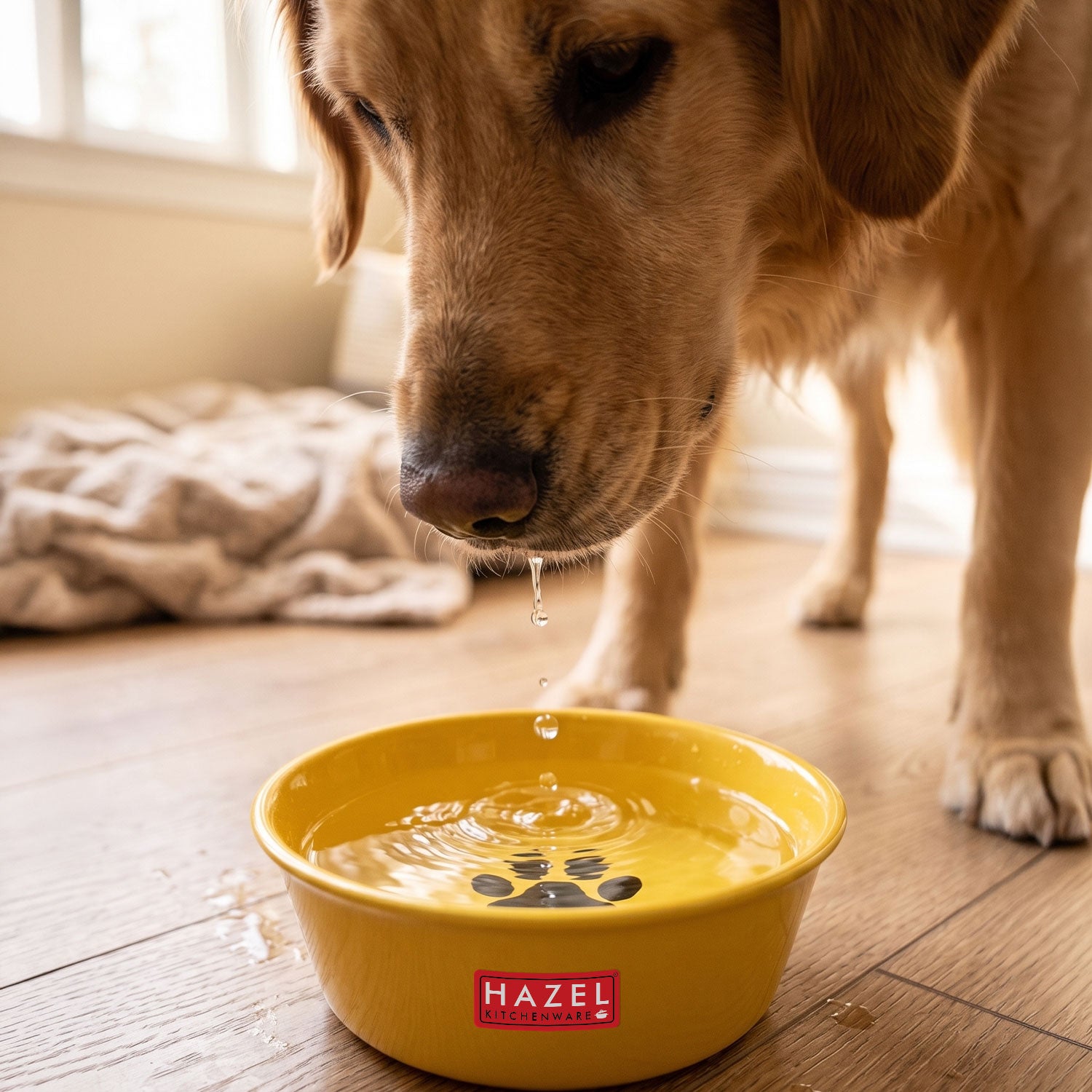 Galvanized Iron Pet Water Bowl with Paw Print Design, 450 ml, Yellow