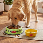 Pet Food & Water Bowl Set, Metal Feeding Bowls for Dogs & Cats, Pack Of 2