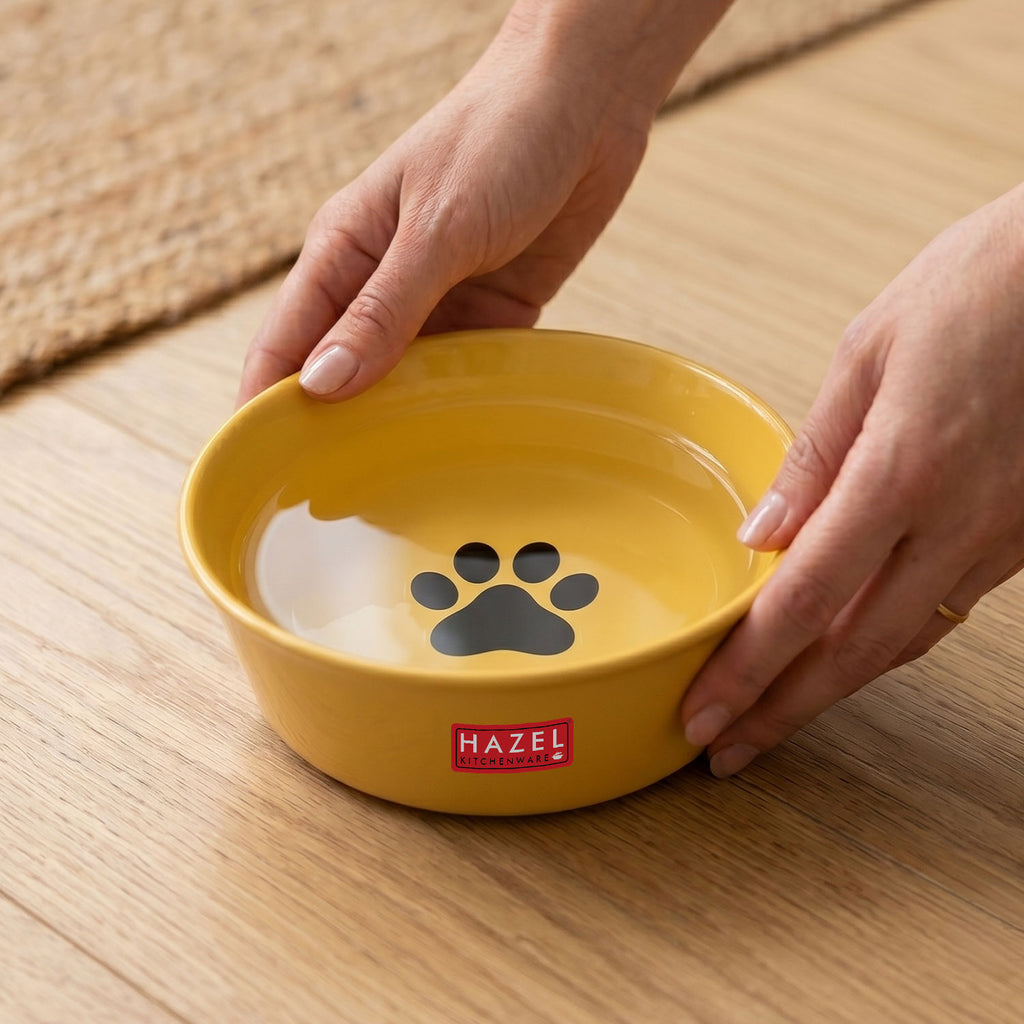 Pet Food & Water Bowl Set, Metal Feeding Bowls for Dogs & Cats, Pack Of 2