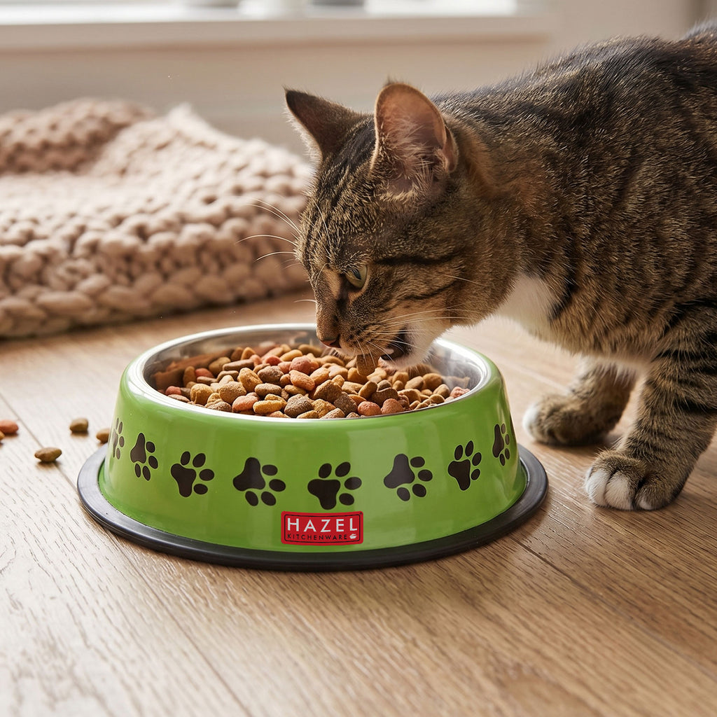 Pet Food & Water Bowl Set, Metal Feeding Bowls for Dogs & Cats, Pack Of 2