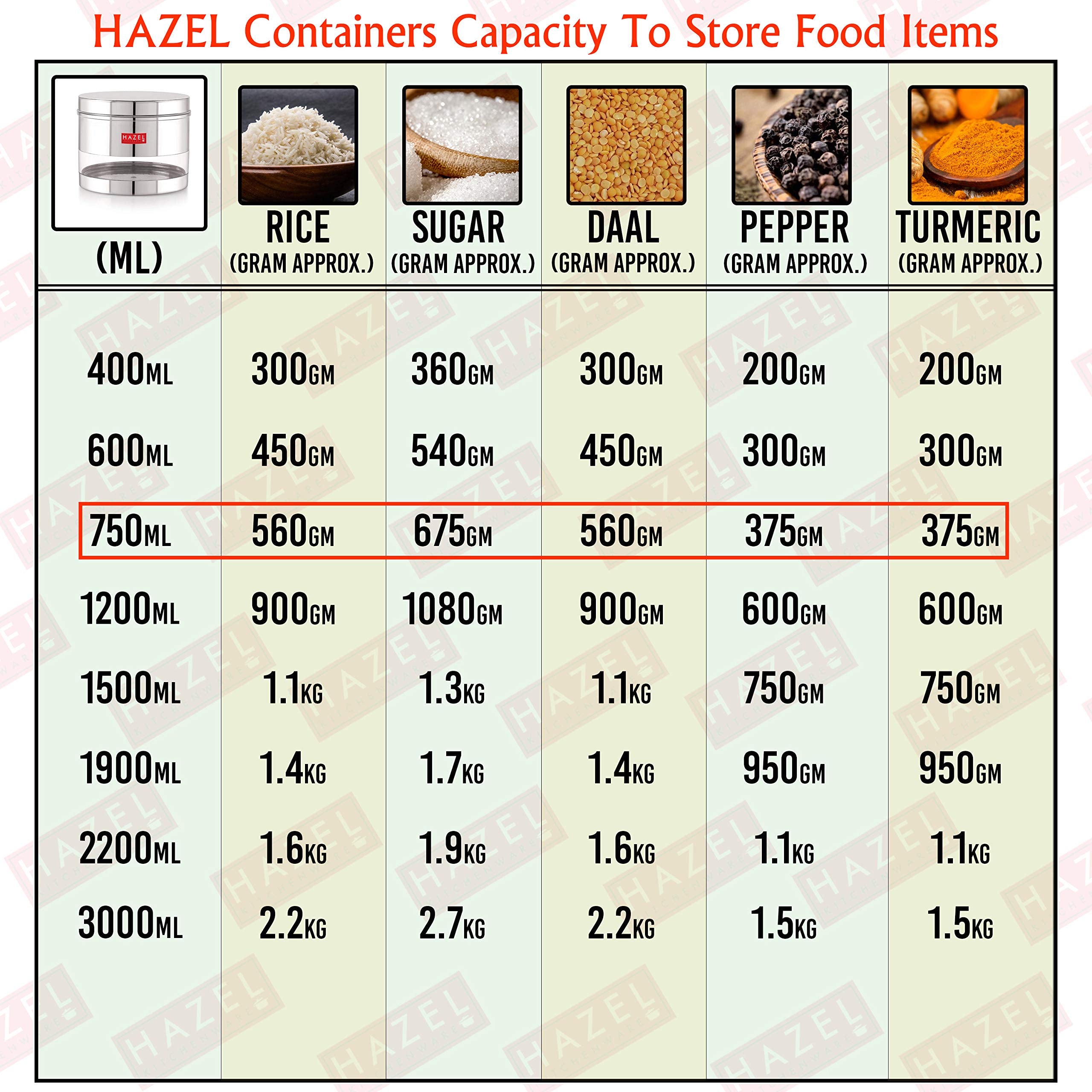 Stainless Steel Transparent Container, 750 ML