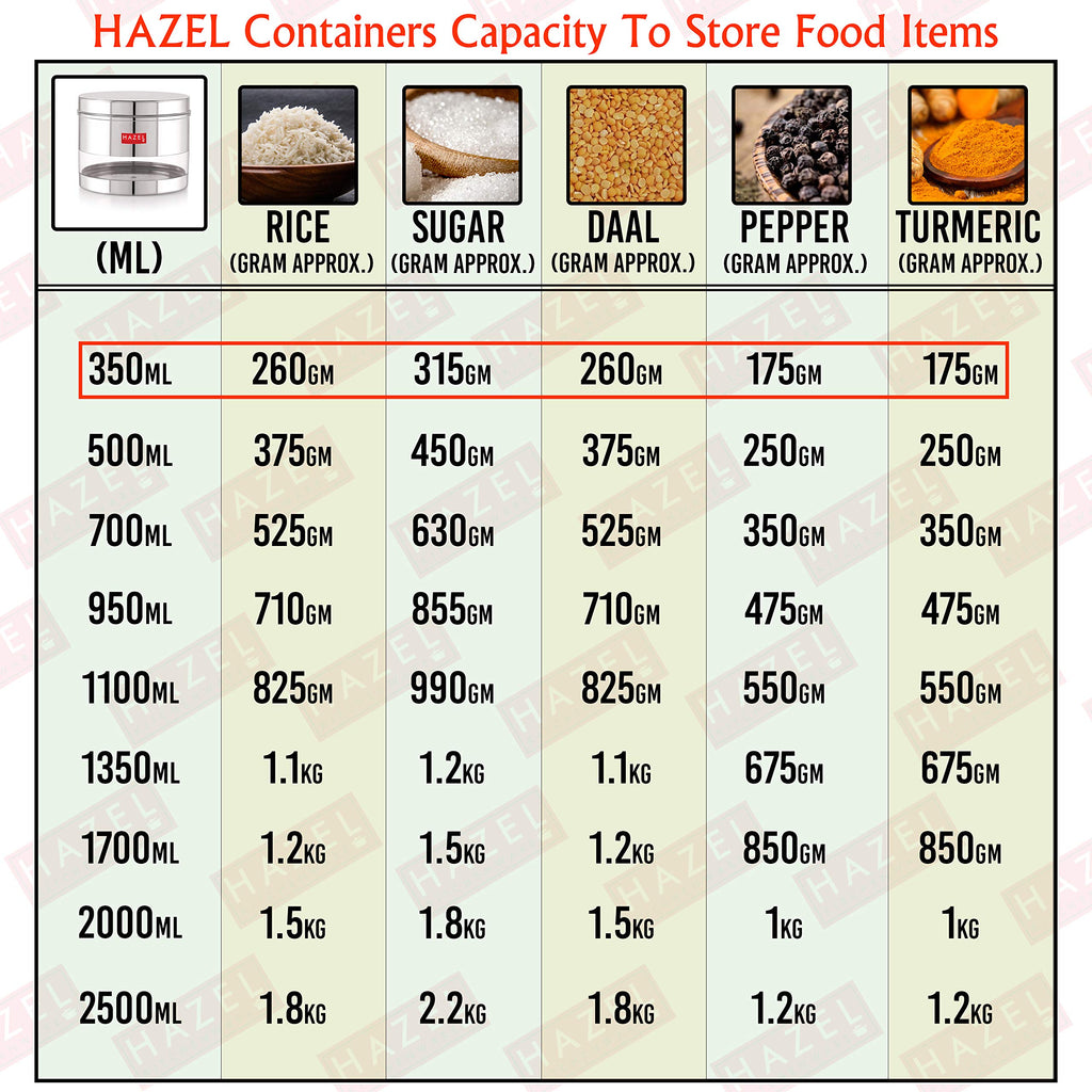 Stainless Steel Transparent  Container - 350ML