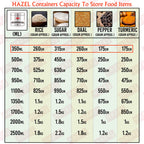 Stainless Steel Transparent  Container - 350ML