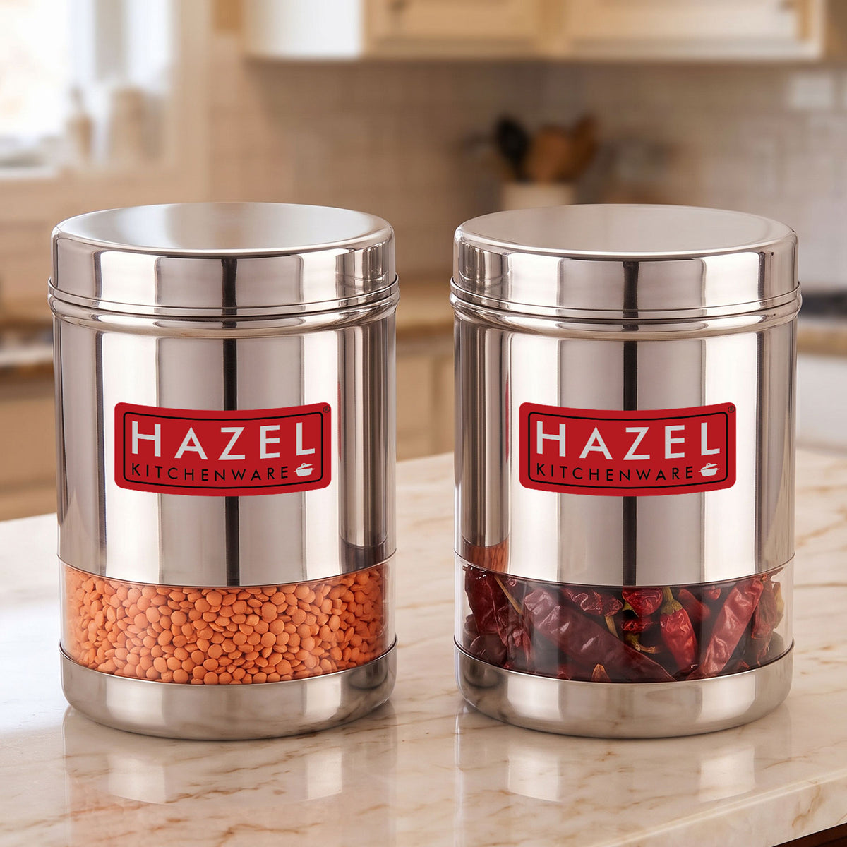 Stainless Steel Transparent Container, Set of 2, 950 ML Each