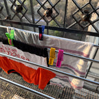 Plastic Cloth Clips for Drying Clothes, Laundry Clips Set of 24