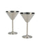 Stainless Steel Martini Drinking Glass, Martini Glass for Serving, 200 ml, Set of 2, Silver
