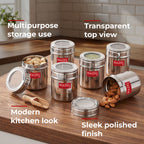 Stainless Steel See-Through Container with Transparent Lid, 250 ml, Set Of 6