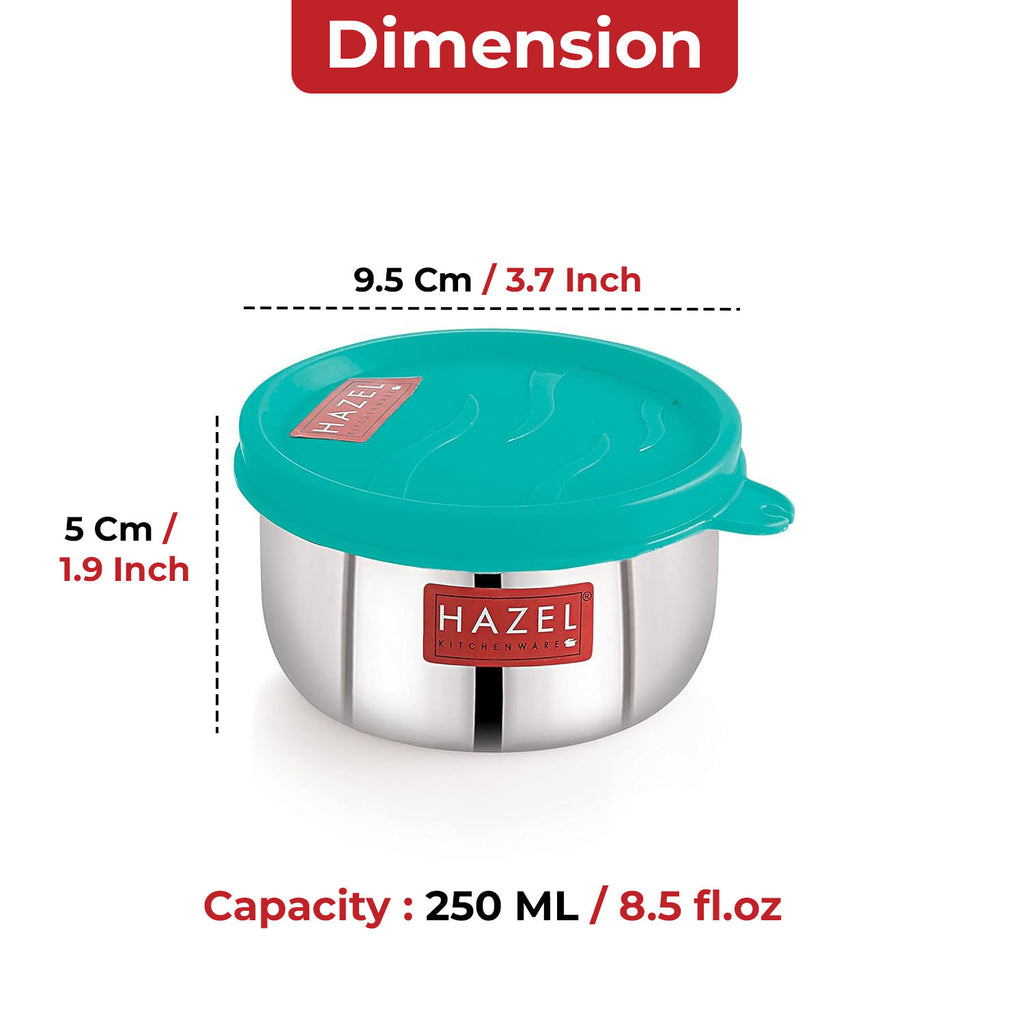 Stainless Steel Airtight Container – 250 ML | Fridge Organizer