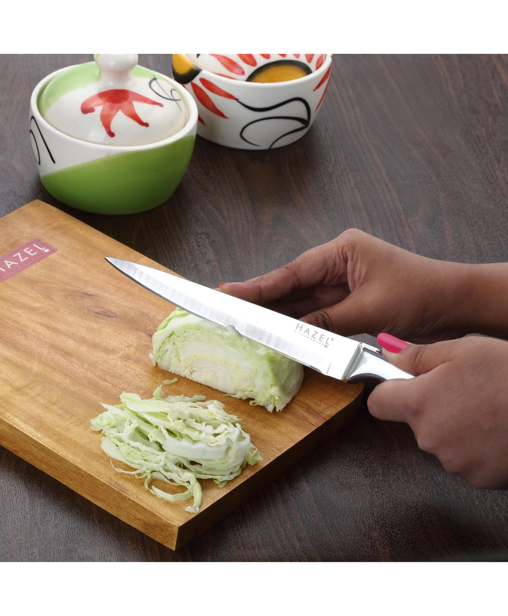 Stainless Steel Sharp Paring Knife for Kitchen, Kitchen Knife with Handle, Silver