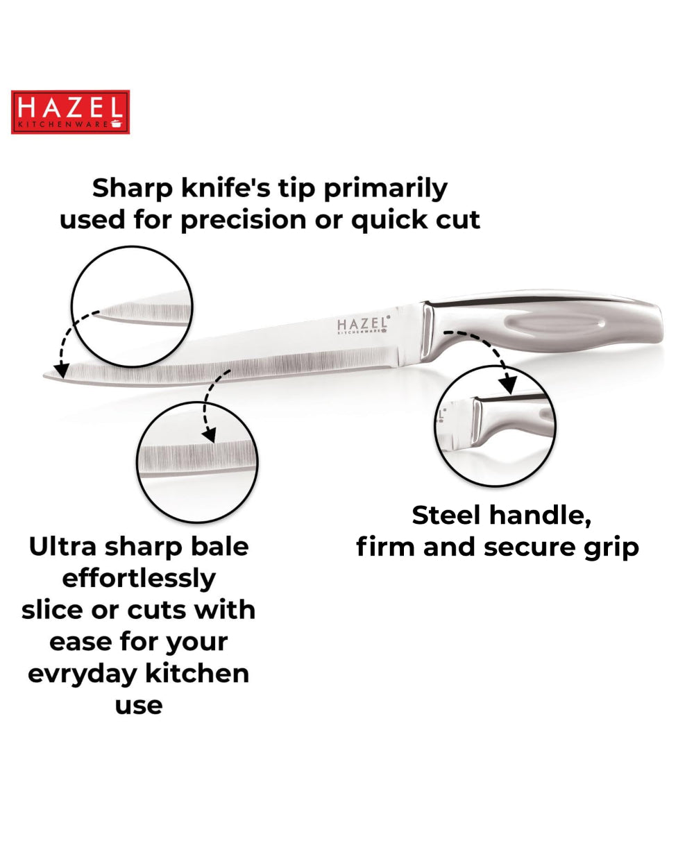 Stainless Steel Sharp Paring Knife for Kitchen, Kitchen Knife with Handle, Silver