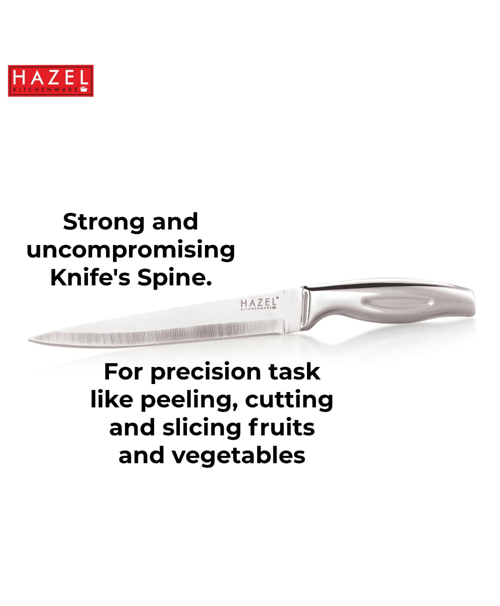 Stainless Steel Sharp Paring Knife for Kitchen, Kitchen Knife with Handle, Silver
